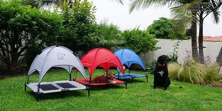 Camas com Toldo Para Cães